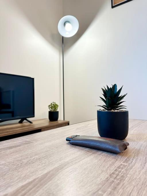 Le Clemenceau - Parking Prive - Fibre & Clim Apartment Mont-de-Marsan Ngoại thất bức ảnh