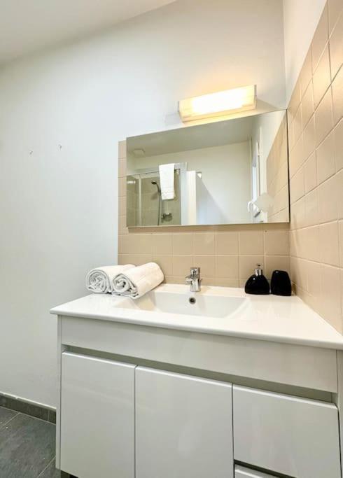 Le Clemenceau - Parking Prive - Fibre & Clim Apartment Mont-de-Marsan Ngoại thất bức ảnh
